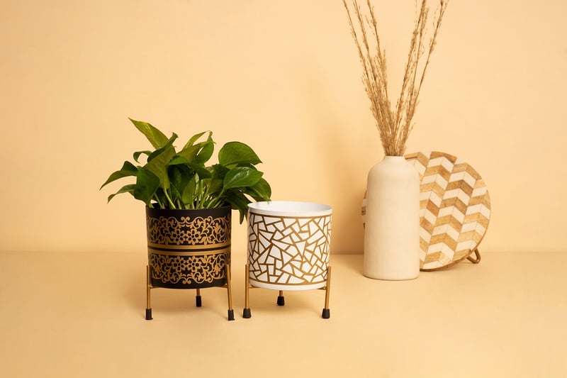 Hanging Planters Display